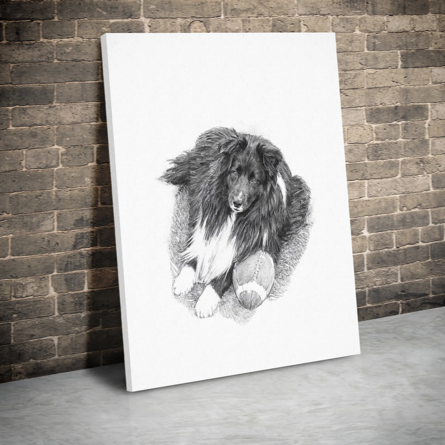 Shetland Sheepdog Wall Art | Pencil Sketch Dog Portrait with Football | Gallery Quality Canvas Print | Gift for Sheltie Lovers and Football Fans