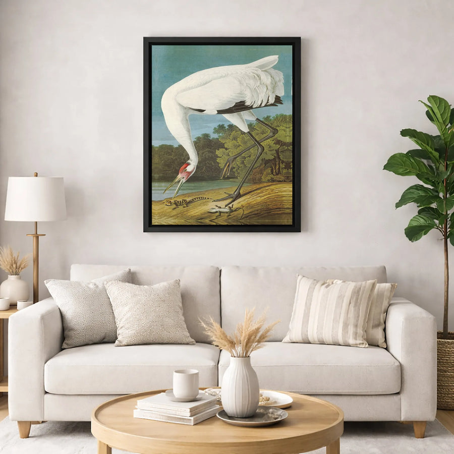 Whooping Crane Bird Canvas Wall Art | Vintage Naturalist Illustration | Premium Gallery Wrapped Print | Nature Lover Home Decor Gift
