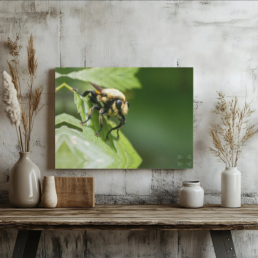 Bumblebee Macro Wall Art | Nature Photography Print | Premium 1.25" Gallery Canvas | Gift for Nature Lovers