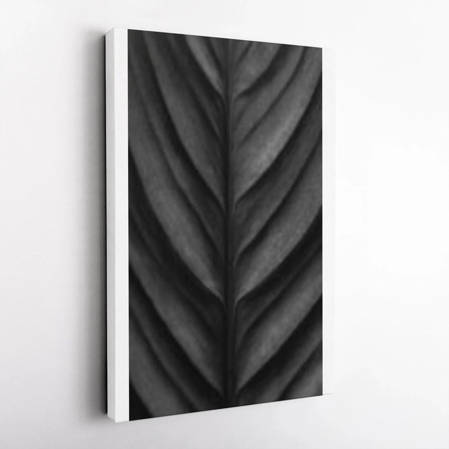 Black and White Leaf Canvas Print | Modern Minimalist Plant Art | Premium Gallery Wrapped Canvas | Living Room & Office Wall Decor Gift