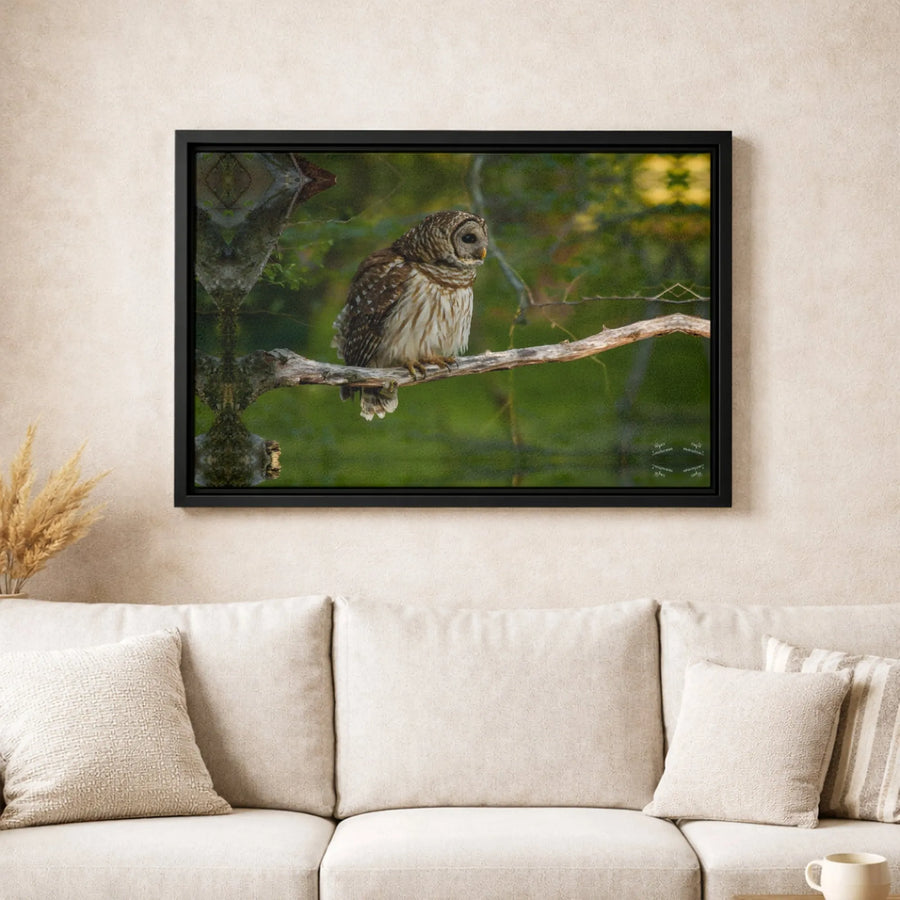 Barred Owl Wall Art Canvas | Nature Wildlife Photography Print | Gallery-Quality 1.25" Profile | Rustic Home Decor & Bird Lover Gift