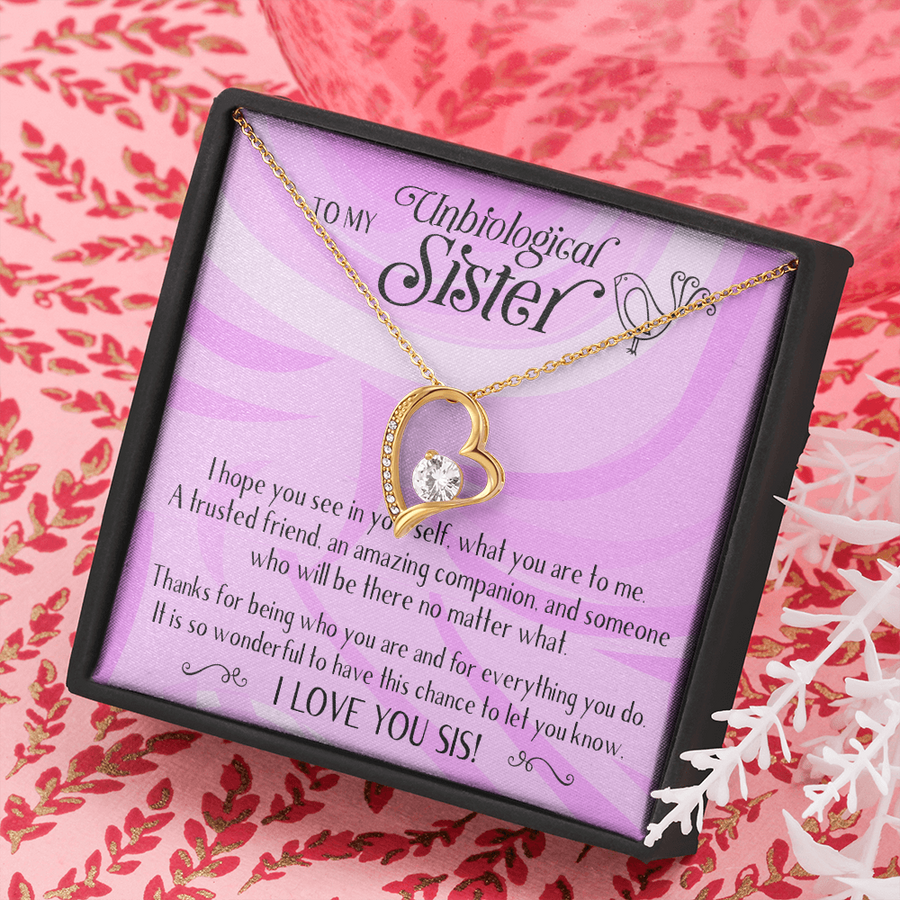 Unbiological Sisters Necklace, Bonus Sister, Soul Sister, Best Friend, Sister In Law, Step Sister, Gifts for Her, Forever Love Necklace