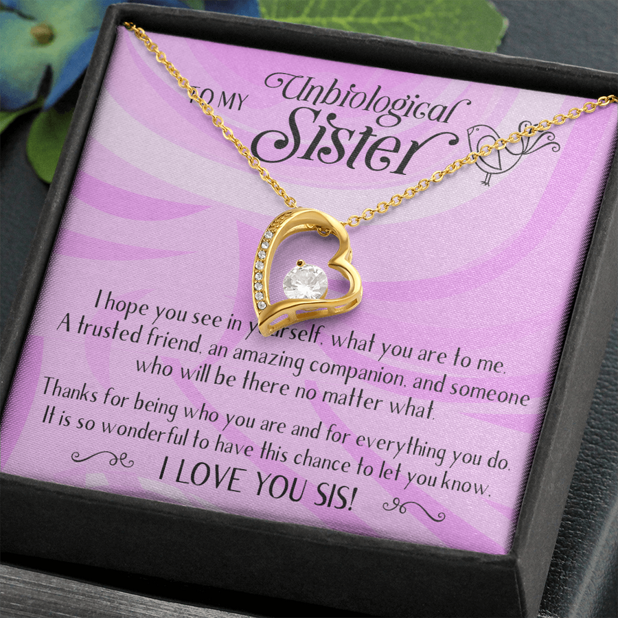 Unbiological Sisters Necklace, Bonus Sister, Soul Sister, Best Friend, Sister In Law, Step Sister, Gifts for Her, Forever Love Necklace