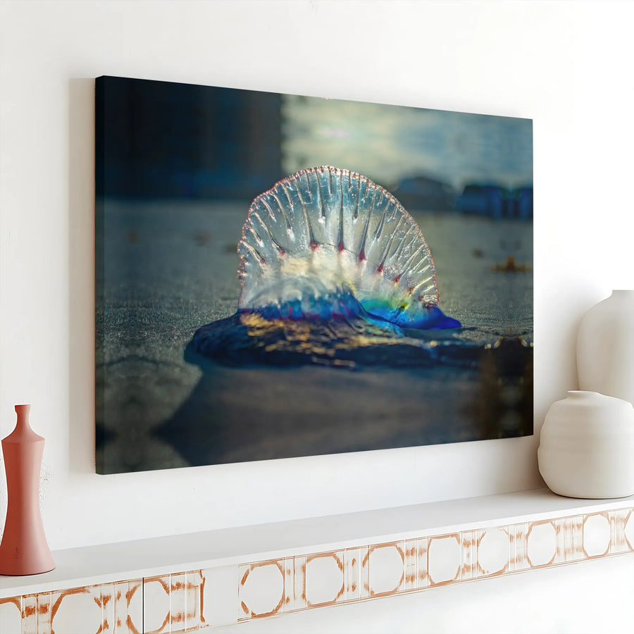 Portuguese Man O' War Canvas Art | Ocean Life Nature Photography | Gallery Wrap Premium Print | Coastal Beach House Wall Decor Gift