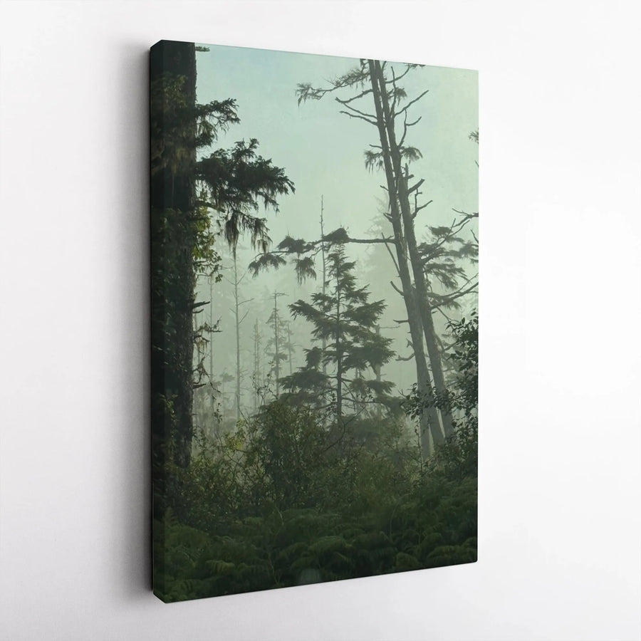 Foggy Forest Canvas Wall Art | Moody Evergreen Pine Trees Print | Premium Gallery Wrap 1.25 Inch Depth | Nature Inspired Home Office Decor