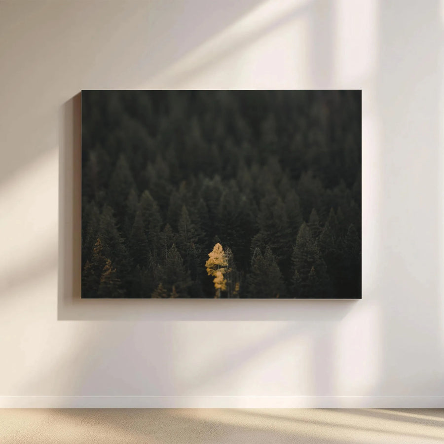 Lone Wolf Golden Tree Canvas Wall Art | Moody Forest Photography Print | Premium Gallery Wrap Canvas | Modern Office & Living Room Decor