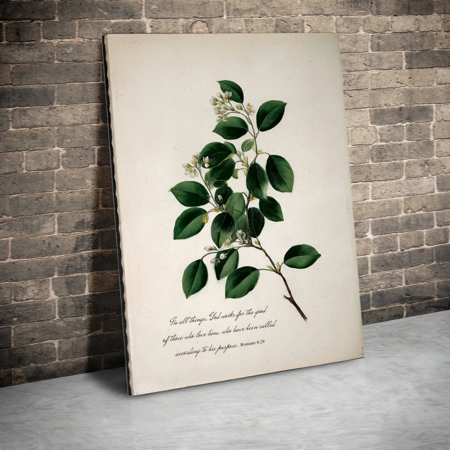 Romans 8:28 Vertical Canvas | Vintage Botanical Bible Verse Art | Premium Gallery Wrapped Print | Christian Faith Home Decor Gift