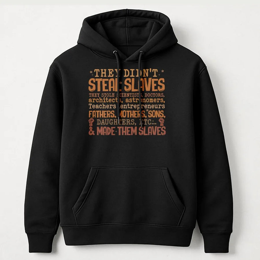 They Didn't Steal Slaves Hoodie | Black History Education Graphic | Premium Cotton Blend | Empowering Social Justice Gift for Activists