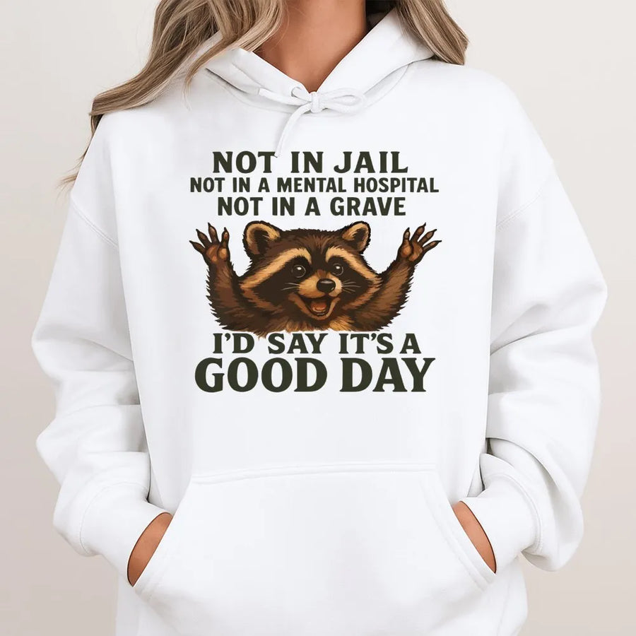 Funny Raccoon Hoodie | Not In Jail Not In A Grave Good Day Graphic | Premium Cotton Blend Sweatshirt | Sarcastic Gift For Men And Women