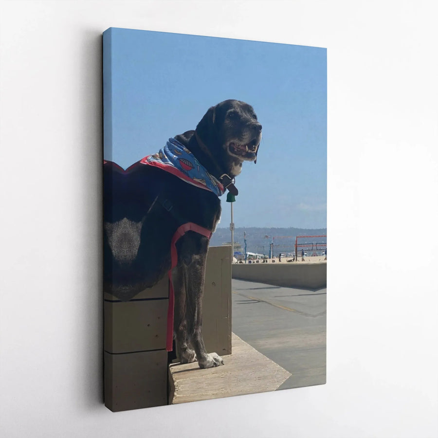 Black Dog Canvas Wall Art | Majestic Pet on a Sunny Beach Photo | Premium Gallery Wrap Canvas | Gift for Dog Lovers & Coastal Home Decor
