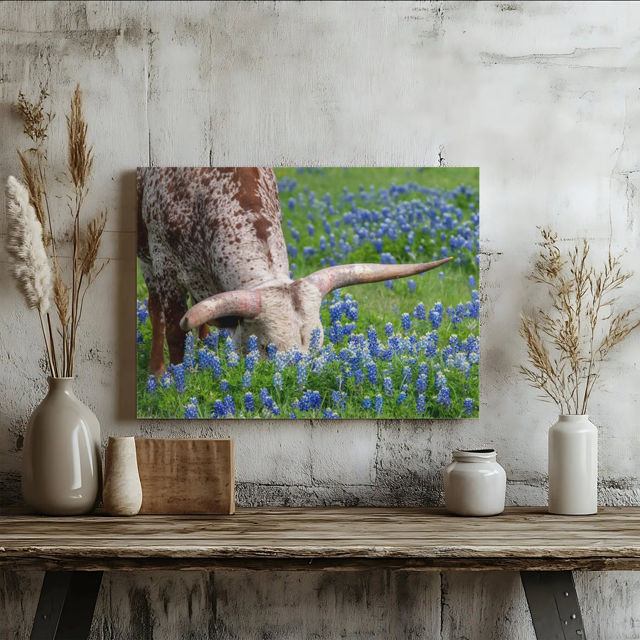 Texas Longhorn Bluebonnets Horizontal Canvas | Rustic Hill Country Wildflower Wall Art | Premium 1.25" Gallery Wrap | Western Farmhouse Decor Gift