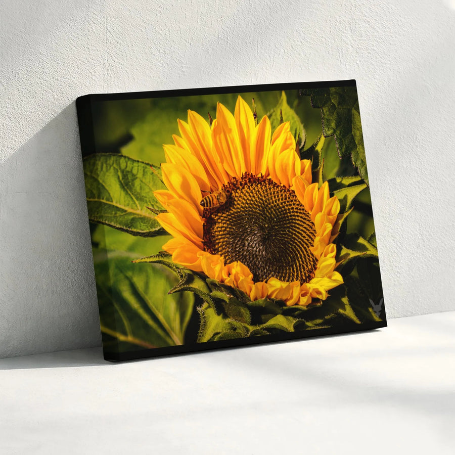 Sunflower Canvas Wall Art | Bee on Flower Macro Photography | Premium Gallery Wrap 1.25" Profile | Nature-Inspired Home Decor Gift