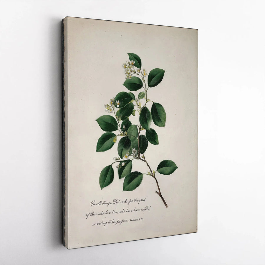 Romans 8:28 Vertical Canvas | Vintage Botanical Bible Verse Art | Premium Gallery Wrapped Print | Christian Faith Home Decor Gift