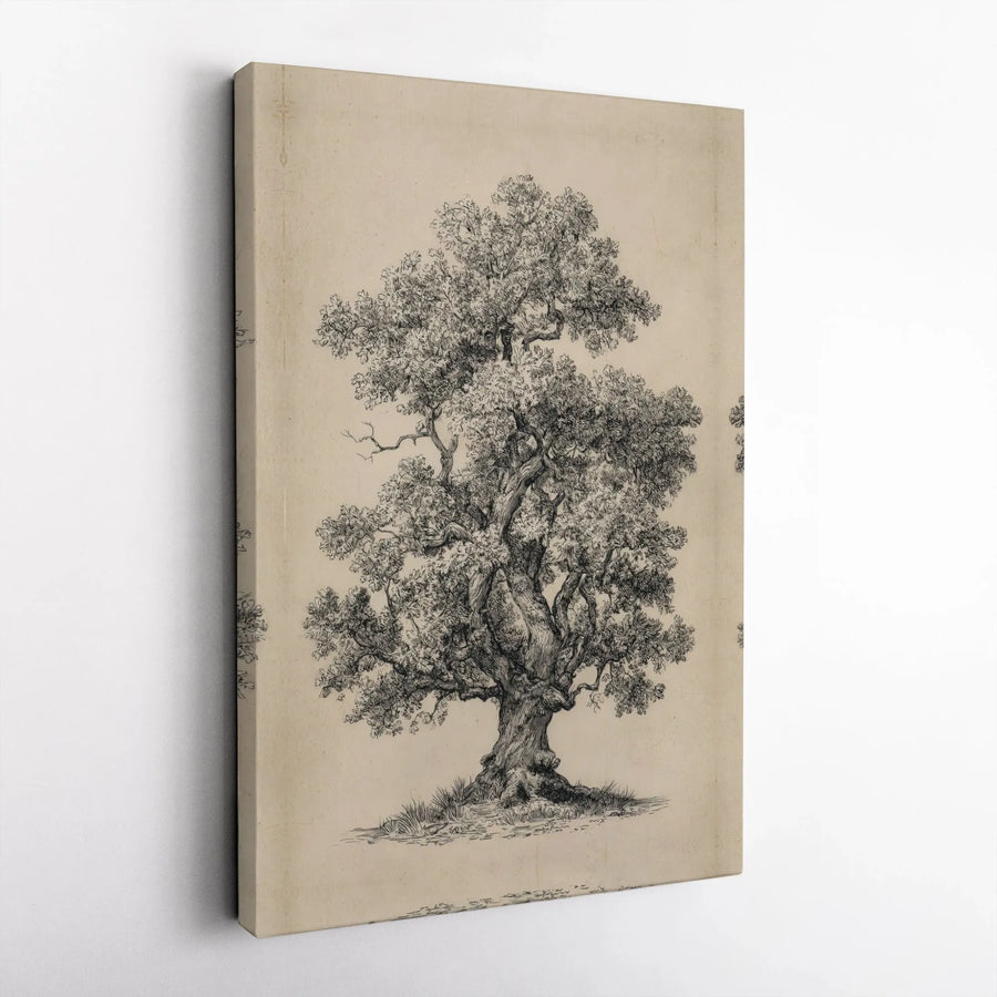 Vintage Oak Tree Canvas Wall Art | Botanical Charcoal Sketch Print | 1.25” Gallery Wrap Decor | Rustic Nature Lover Gift