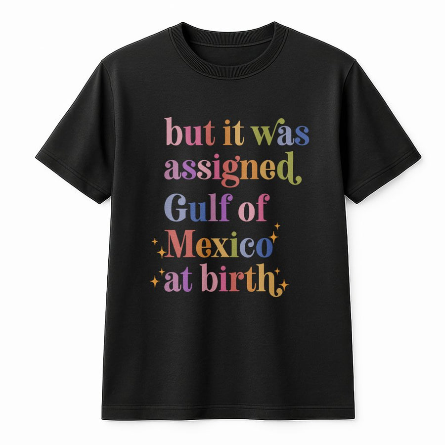 Gulf of Mexico Assigned At Birth T-Shirt | Retro Typography Humor | Premium Cotton Crewneck | Funny Geography Gift for Nature Lovers
