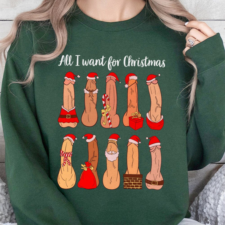 All I Want For Christmas Funny Adult Sweatshirt | Naughty Holiday Graphic | Premium Cotton Blend | Gift For Him or Her
