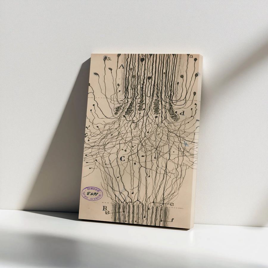 Vintage Neuron Anatomy Canvas Print | Ramón y Cajal Neuroscience Drawing | Thick Gallery Wrap Canvas | Collector's Gift for Doctor or Scientist