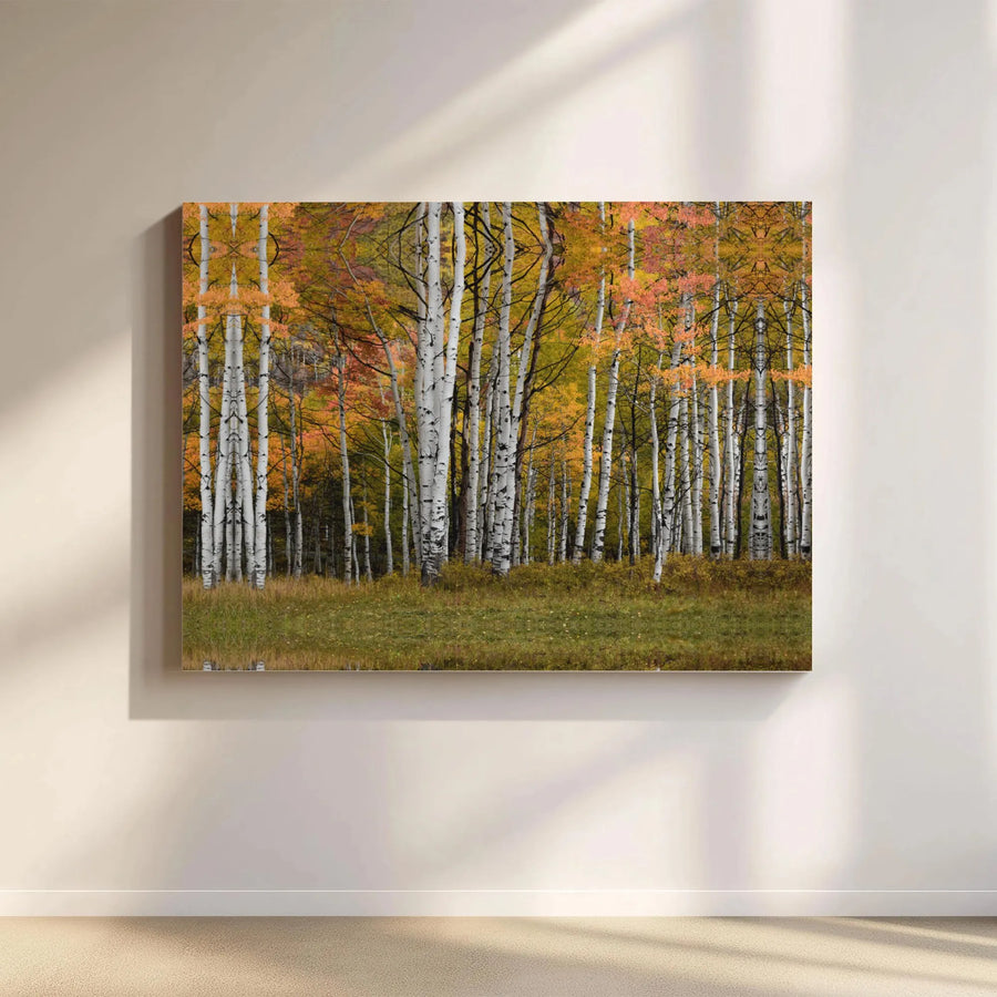 Autumn Aspen Forest Canvas Print | Golden Yellow Fall Tree Landscape | Gallery-Quality 1.25 Inch Wrap | Nature Wall Art for Living Room Decor