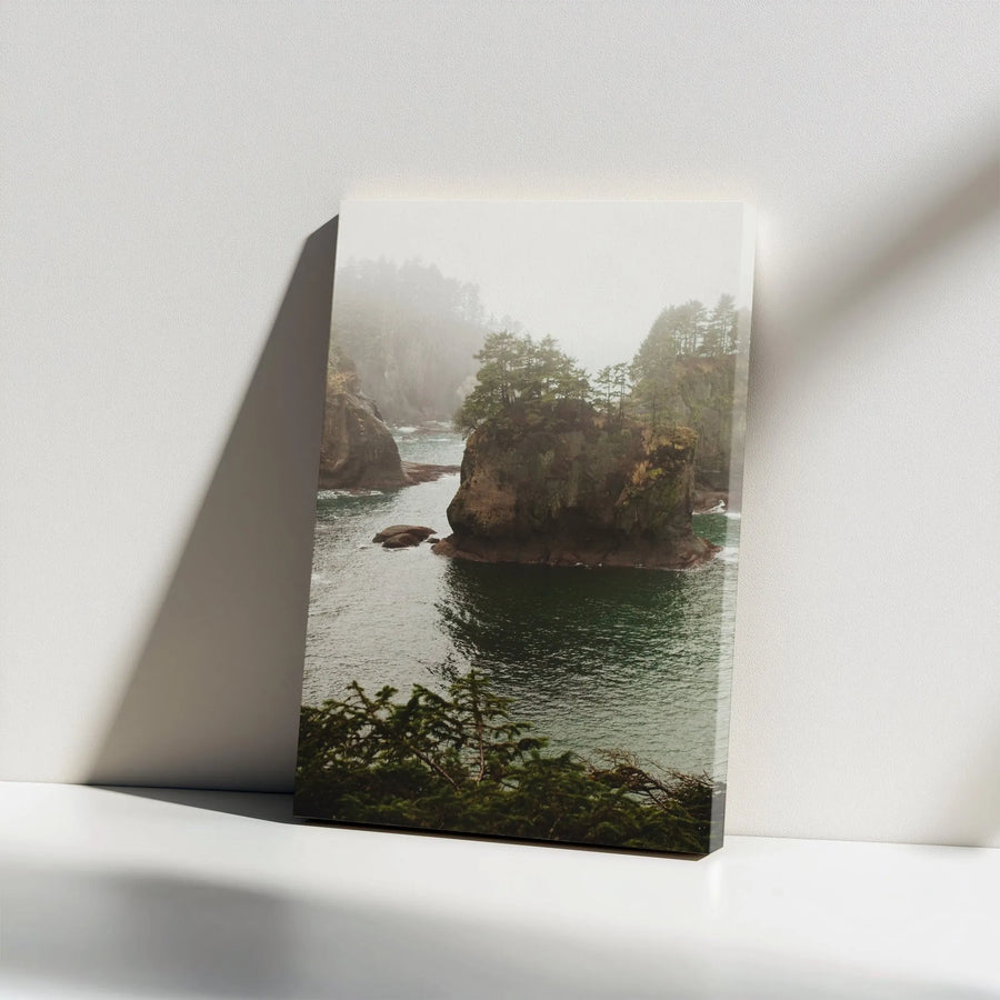 Foggy Coastal Landscape Canvas Print | Moody Pacific Northwest Nature Wall Art | Premium Gallery-Wrapped Decor | Ready to Hang Scenic Gift