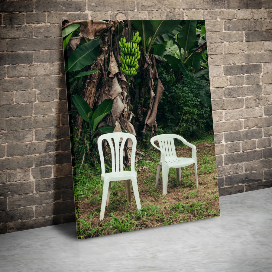 Tropical Garden Vertical Canvas | Surreal Banana Tree & Plastic Chairs Photography | Premium Frameless Print | Modern Minimalist Home Decor Gift