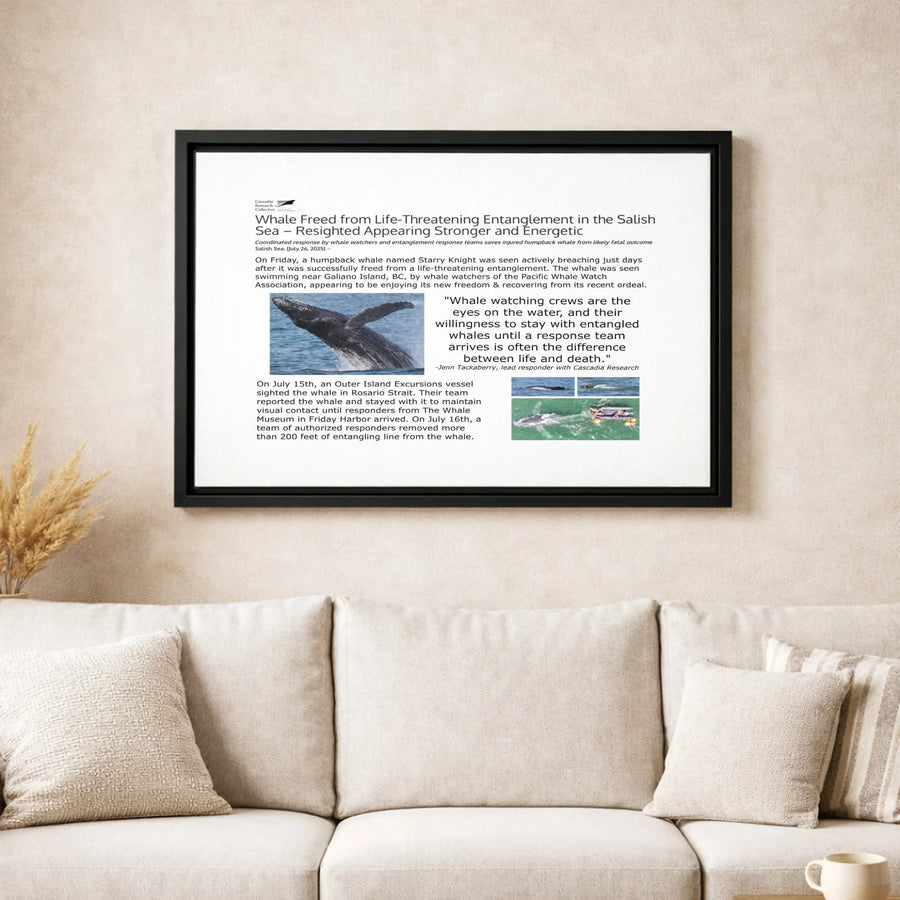 Humpback Whale Rescue Canvas Wall Art | Salish Sea Conservation Story | Premium Gallery Wrap Print | Wildlife Photography Gift for Marine Lovers
