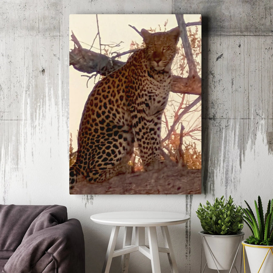 Leopard Wildlife Canvas Print | Majestic Big Cat Photography | Premium 1.25-Inch Gallery Wrap | Safari Animal Home Decor Gift
