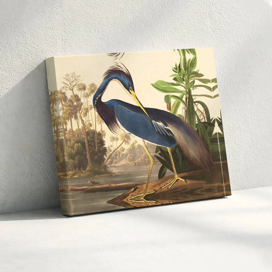Blue Heron Bird Canvas Print | Vintage Tropical Swamp Wall Art | Gallery Wrapped Premium Material | Coastal Farmhouse Home Decor Gift