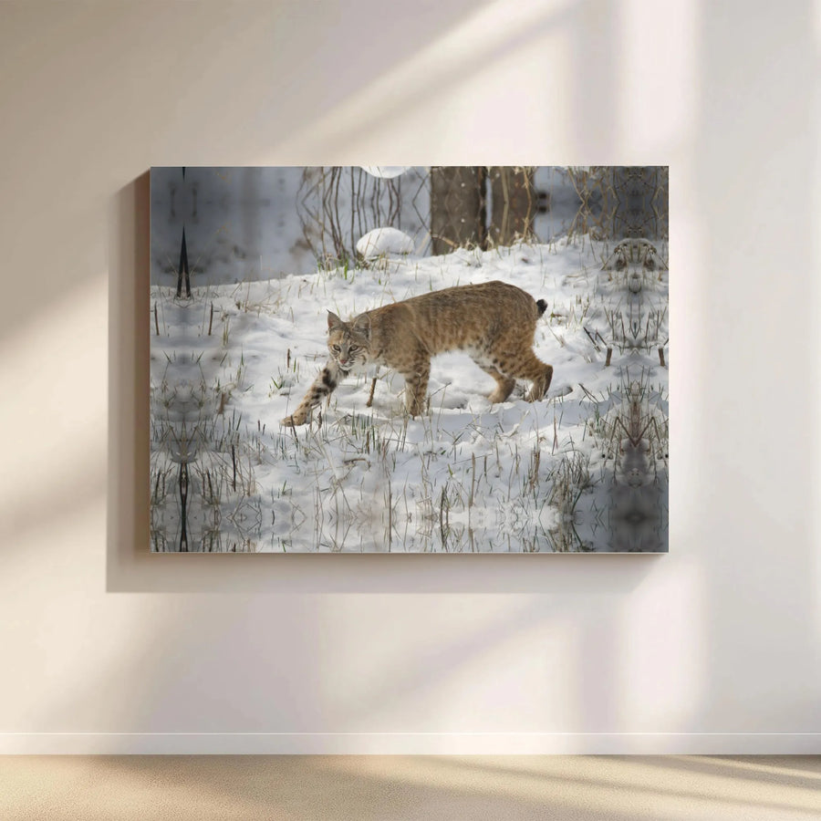 Bobcat Wall Art Canvas | Winter Wildlife Photography Print | 1.25" Premium Gallery Wrap | Nature Lover Gift For Home Decor