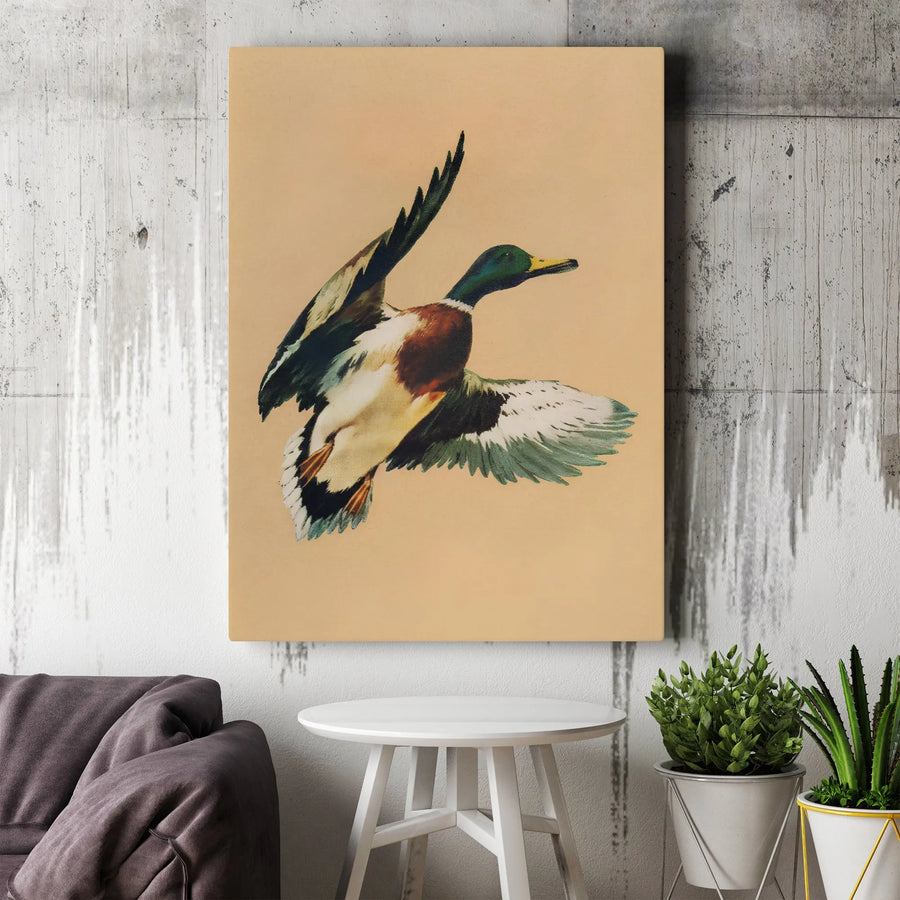 Vintage Mallard Duck Canvas Art | Flying Duck Wildlife Illustration | Premium Gallery Wrap Wall Decor | Rustic Cabin & Lodge Gift for Nature Lovers