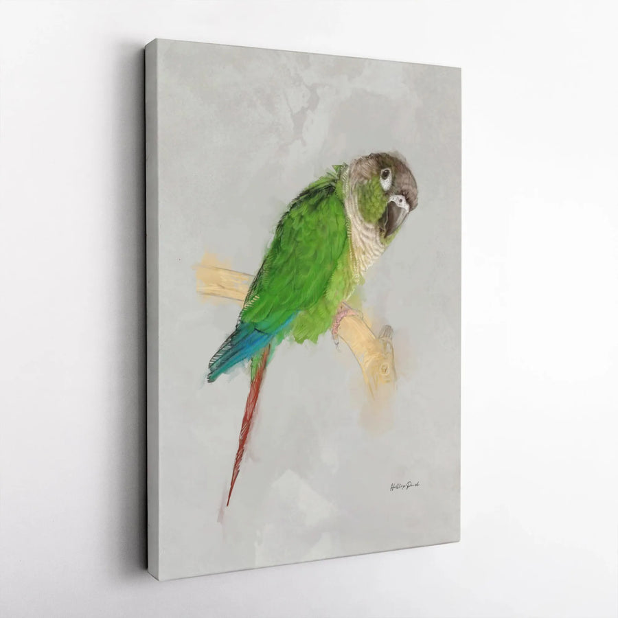 Green-Cheeked Conure Canvas Art | Watercolor Parrot Bird Print | Gallery-Quality 1.25" Profile | Gift for Bird Lovers and Avian Enthusiasts