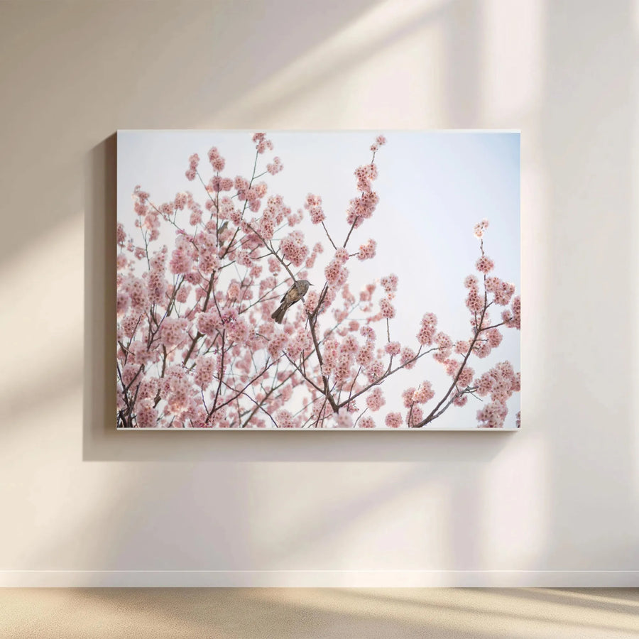 Cherry Blossom Bird Wall Art | Japanese Sakura Tree Photography | Premium Canvas Print | Nature Inspired Home Decor Gift