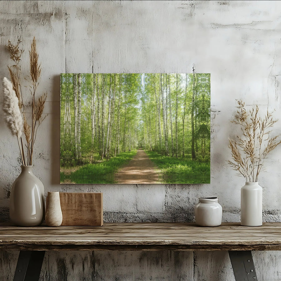 Birch Tree Forest Canvas Art | Sunlit Woodland Path Nature Print | Gallery-Quality 1.25" Wrap | Peaceful Landscape Home Decor Wall Art