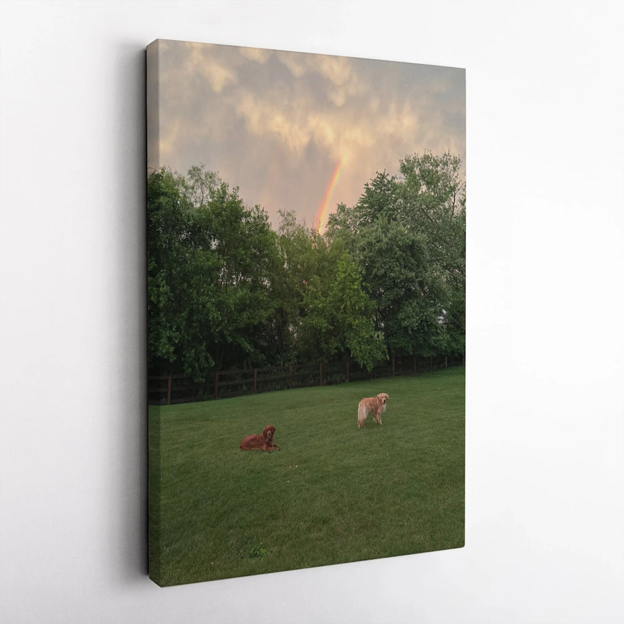 Golden Retriever Canvas Art | Rainbow Meadow Sunset Landscape | Premium 1.25 Inch Gallery Wrap | Peaceful Dog Lover Wall Decor Gift