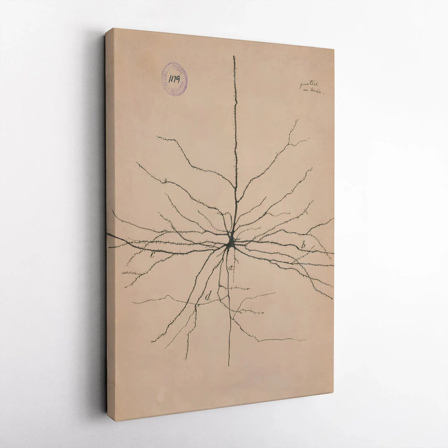 Vintage Neuron Canvas | Cajal Scientific Illustration | Premium Gallery Wrap Wall Art | Neurologist Gift for Doctor Office Decor