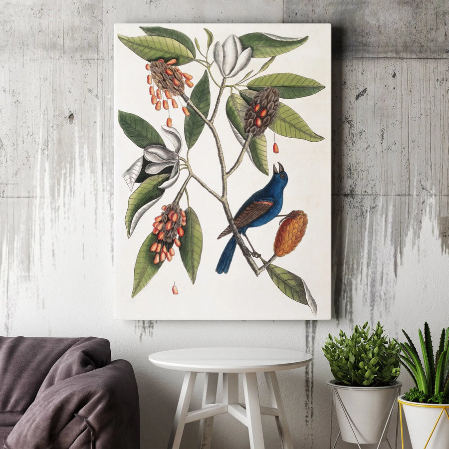 Vintage Botanical Bird Canvas Art | Antique Magnolia & Blue Bird Illustration | Premium Gallery Wrapped Canvas | Collector's Nature Wall Decor Gift