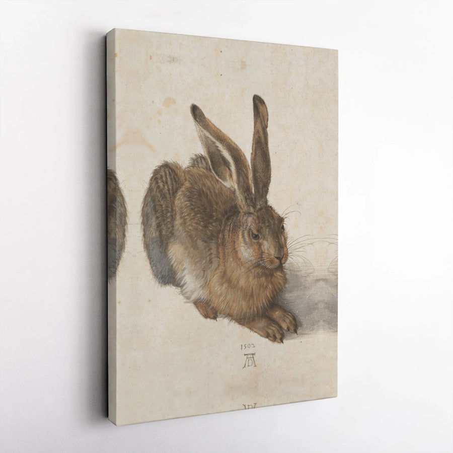Albrecht Dürer Young Hare Canvas Wall Art | Fine Art Renaissance Print | 1.25 Inch Gallery Wrap | Classic Home Decor Gift