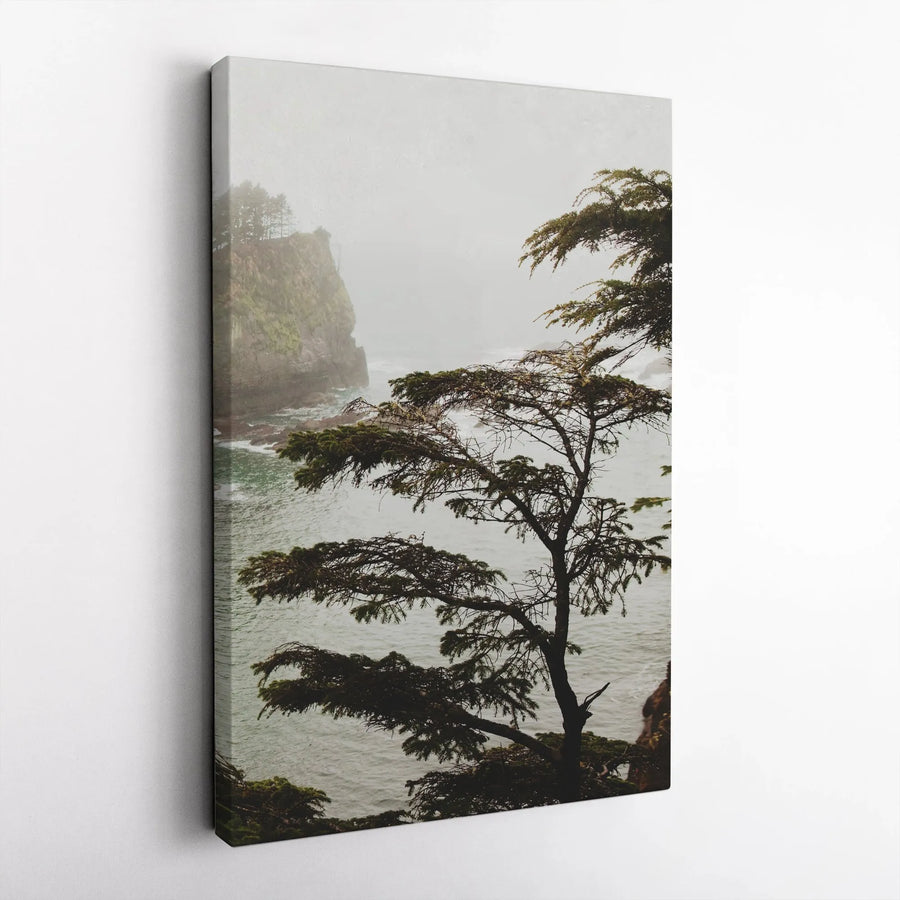 Misty Coastal Tree Canvas Wall Art | Pacific Northwest Landscape Print | 1.25-Inch Gallery Wrap | Premium Nature Decor for Home and Office