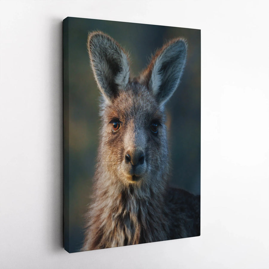 Kangaroo Portrait Canvas Art | Close-Up Australian Wildlife Print | 1.25-Inch Premium Gallery Wrap | Modern Nature Home Decor Wall Art
