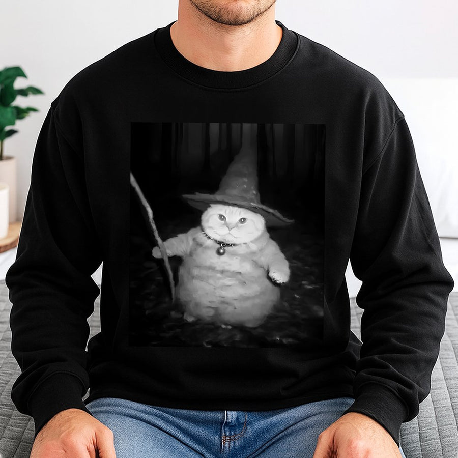 Wizard Cat Sweatshirt | Funny Chubby Cat in Witch Hat Design | Premium Cotton Blend Crewneck | Cute Animal Meme Gift for Cat Lovers