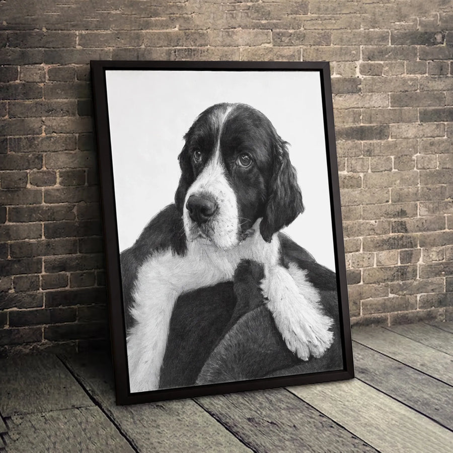 Springer Spaniel Dog Wall Art | Realistic Pencil Sketch Portrait | Premium Gallery Wrapped Canvas | Dog Lover Gift & Home Decor