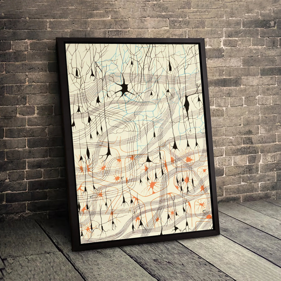 Brain Neuron Canvas Print | Vintage Scientific Illustration | Premium Gallery Wrapped Wall Art | Medical Decor Gift for Doctor or Scientist