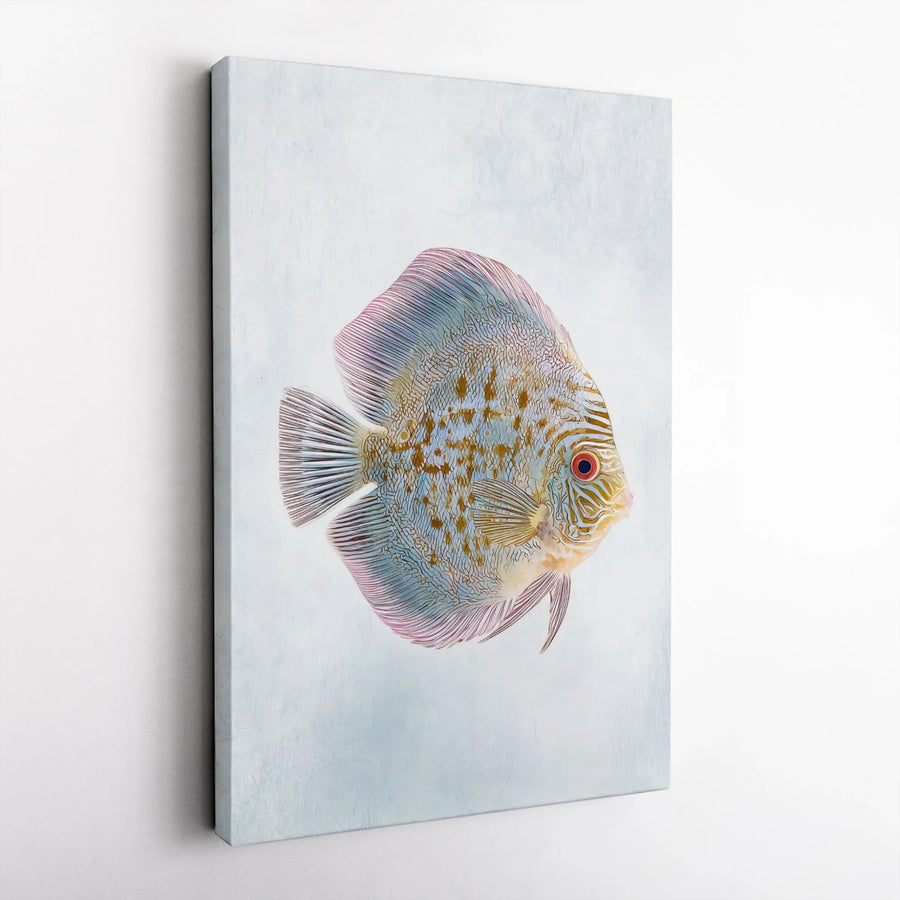 Discus Fish Canvas Wall Art | Colorful Tropical Underwater Print | Premium 1.25-inch Gallery Gallery Wrap | Modern Home Office Decor Gift