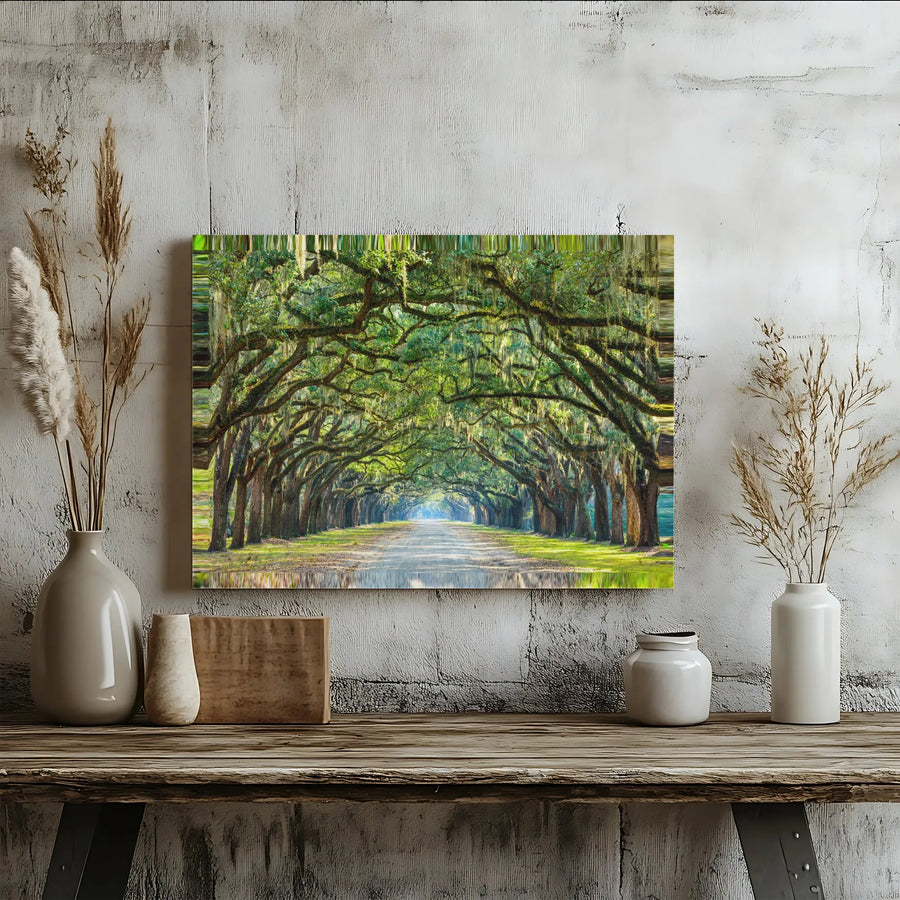 Oak Alley Canvas Wall Art | Surreal Tree Tunnel with Glitch Effect | Premium Gallery Wrapped Print | Southern Landscape Living Room Decor