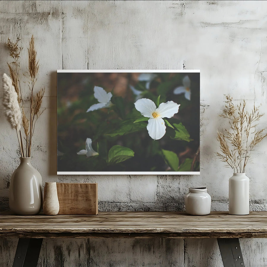 White Trillium Canvas Print | Botanical Forest Wildflower Photography | Gallery-Wrapped Premium Wall Art | Nature-Inspired Home Decor Gift