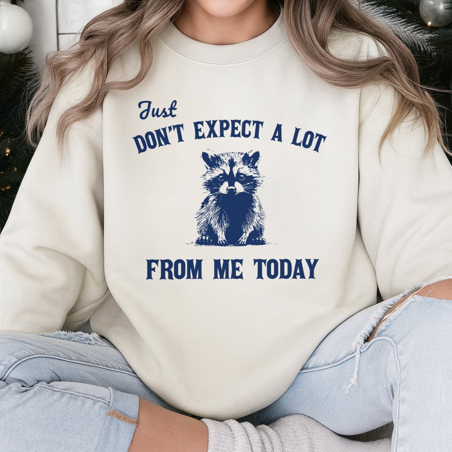 Funny Raccoon Sweatshirt | Just Don't Expect A Lot From Me Today Quote | Soft Cotton-Blend Graphic Pullover | Gift for Introverts and Lazy Days
