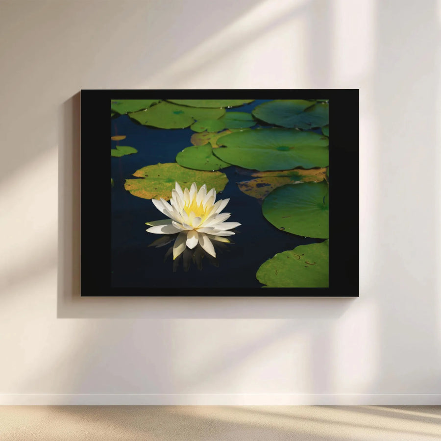 White Water Lily Canvas Art | Serene Botanical Pond Design | Gallery Wrapped Premium Print | Peaceful Home Decor Wall Accent