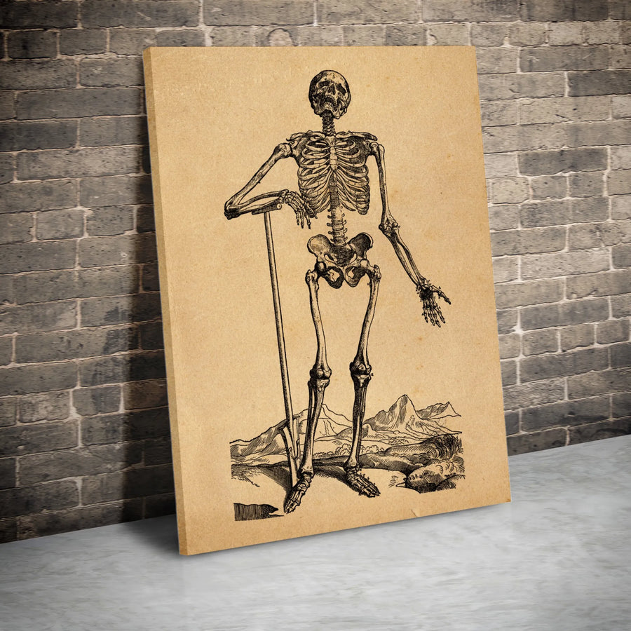 Vintage Anatomical Skeleton Canvas Art | Antique Medical Illustration Decor | Premium Gallery-Wrapped Print | Gothic Home & Office Gift