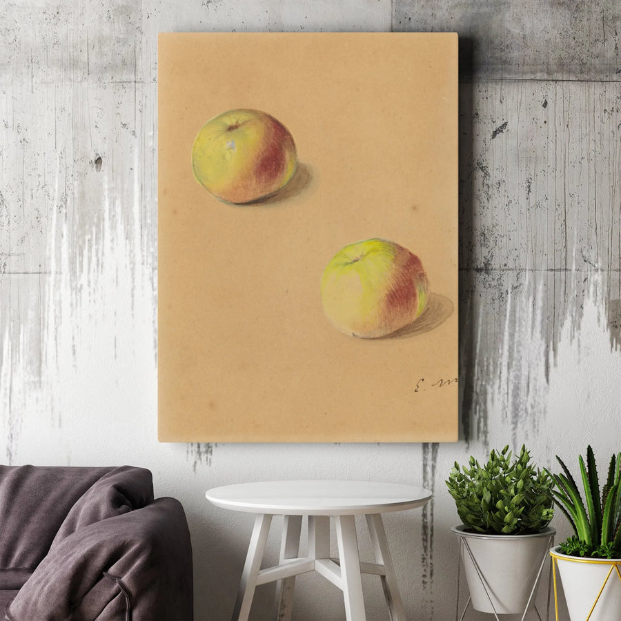 Still Life Apple Canvas Print | Vintage Fruit Study Illustration | Premium Gallery Wrapped Art | Farmhouse Kitchen Decor Gift