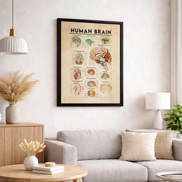 Human Brain Anatomy Poster | Vintage Medical Chart Canvas Wall Art | Premium Scientific Illustration Print | Gift for Doctor or Medical Student