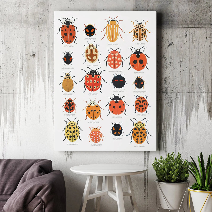Ladybug Identification Chart Art | Vintage Scientific Insect Poster | Premium Gallery Canvas | Nature Lover Educational Gift Wall Decor